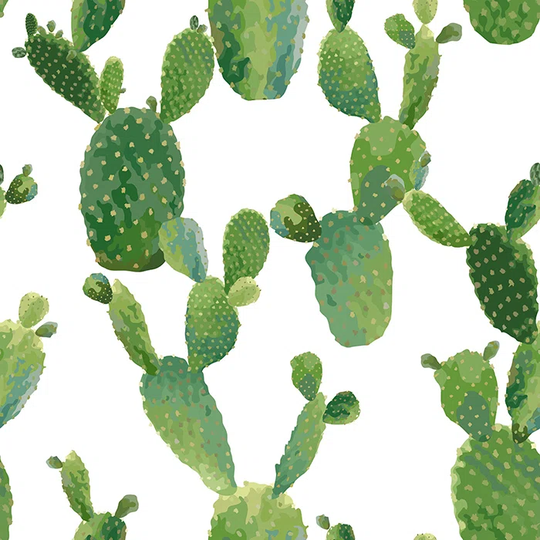 Walllpaper Roll 416X254cm Wallpaper Material With Print Mural Decoration Kitchen Livingroom Bedroom - Natural Cacti Cactus