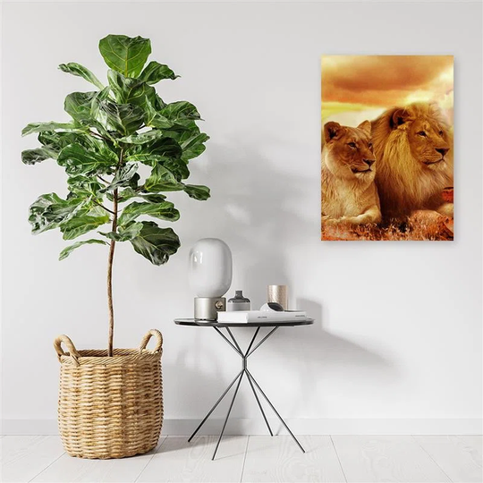 Canvas Print Lions Africa Animals