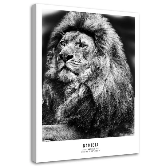 Canvas Print Africa Lion Animals