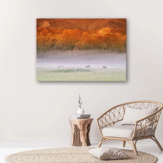 Canvas Print Misty Forest