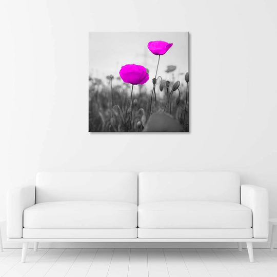 Canvas Print Purple Poppies Field