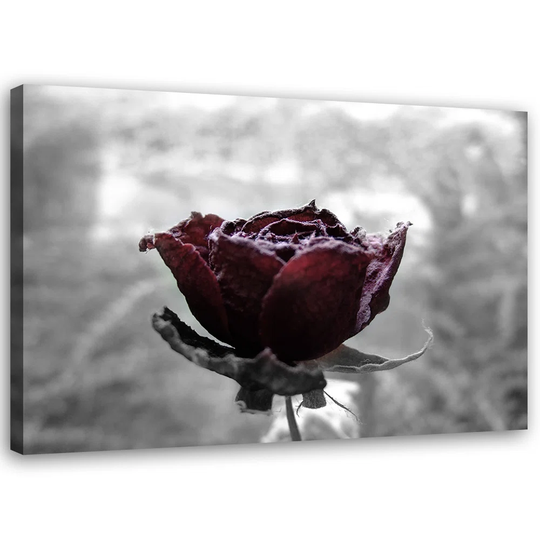 Canvas Print, Red Flowers