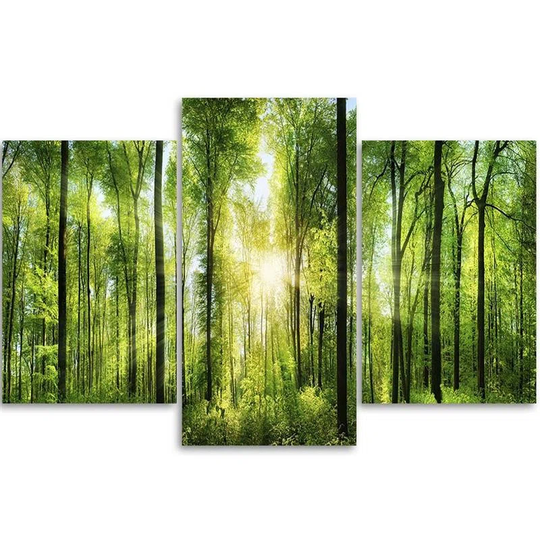 Canvas Print Green Forest Nature