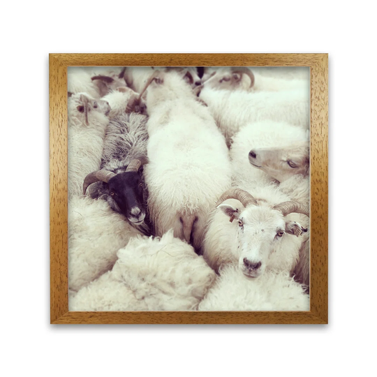 I See You by Nur Mut - Picture Frame Photograph Print on Paper