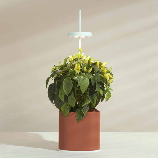 Pret A Pousser Nano Garden Terracotta With 1 Basil Pod