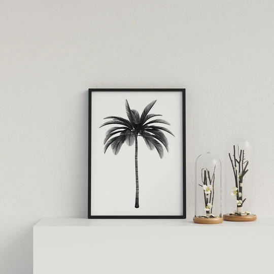 Palm Tree on White Background by Vouvart - Picture Frame Photograph