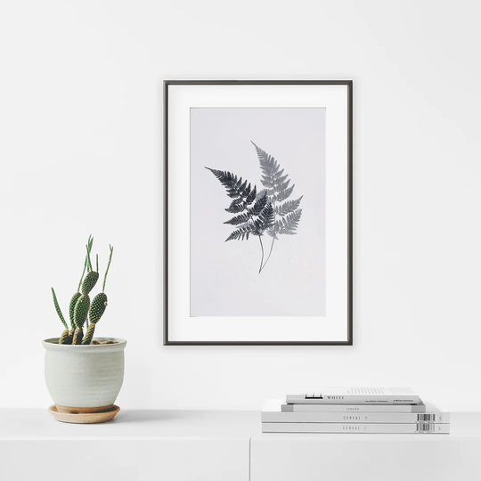Fern - Picture Frame Graphic Art Print on Paper