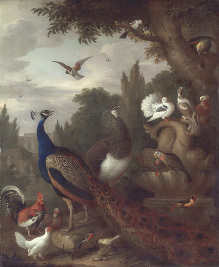 Walllpaper Roll 208X146cm Mural Decoration Kitchen Livingroom Bedroom Wallpaper Material With Print - Peacock