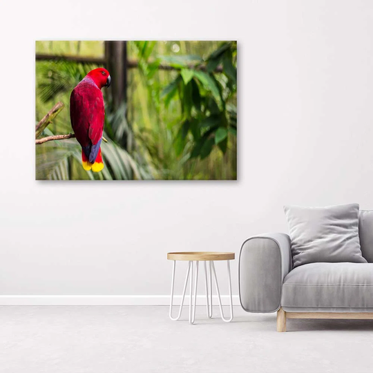 Canvas Print Parrot Paradise Birds Nature
