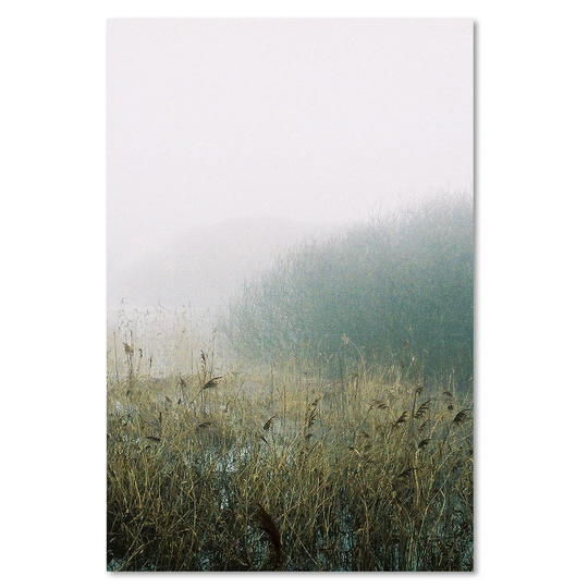 Canvas Print, Green Landscapes 16353