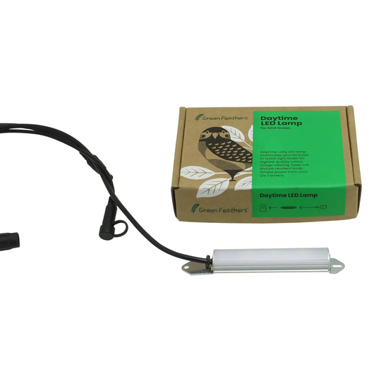 Green Feathers Daytime LED Lamp For Bird Boxes