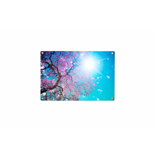 Tree Blossoms Magnetic Wall Mounted Photo Memo Board