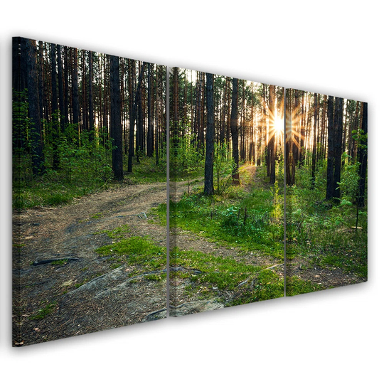 Canvas Print Forest Nature Road Landscape