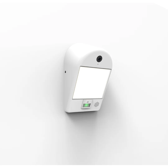 Sung LED Outdoor Flush Mount
