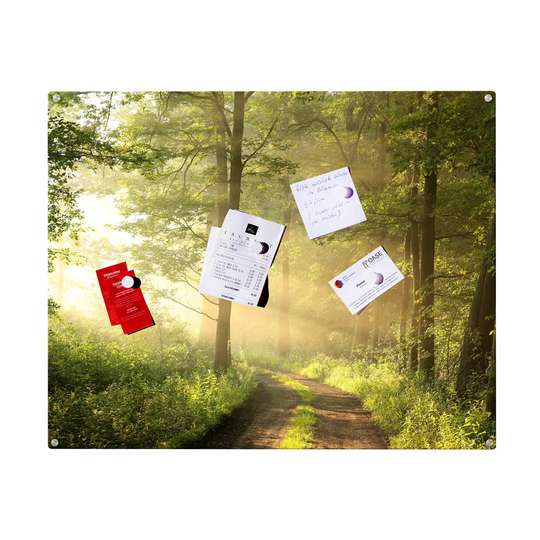 Forest Trees Magnetic Wall Mounted Photo Memo Board