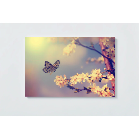 Butterfly Motif Magnetic Wall Mounted Cork Board