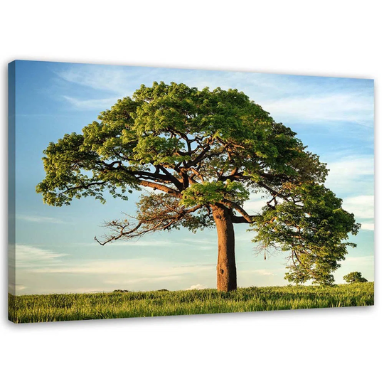 Canvas Print Tree Landscape Nature