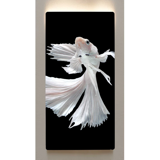 Backlight wall art on a metal wall, 60 x 120cm, on a magnetic board