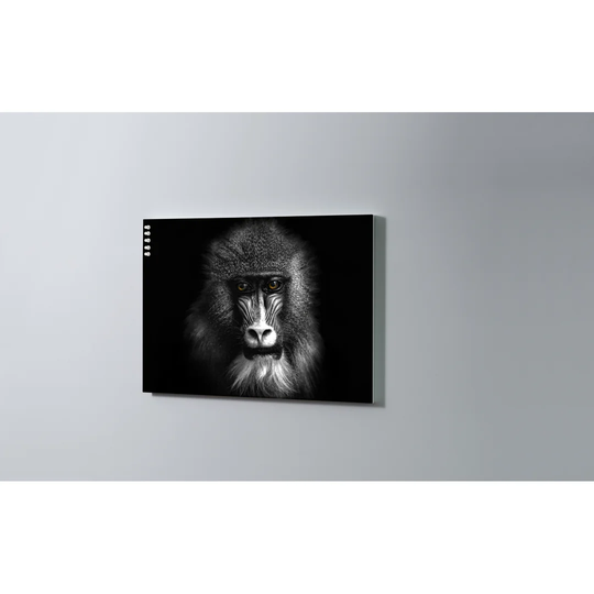 Monkey Magnetic Wall Mounted Cork Board