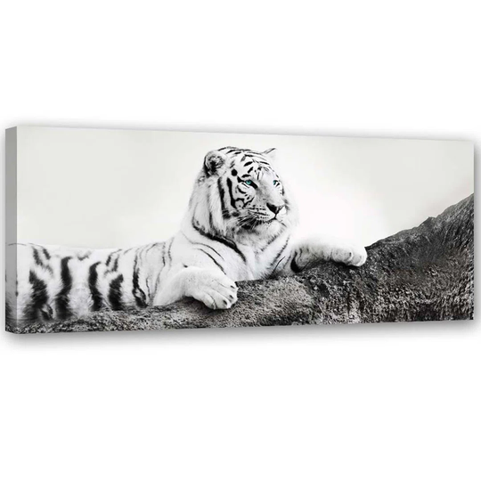 Canvas Print Tiger Africa Animals