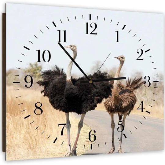 Two Ostriches Silent Wall Clock