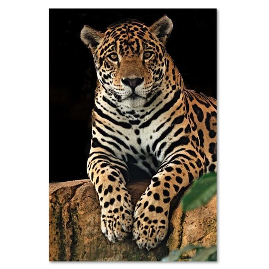 Canvas Print Leopard Animals Nature