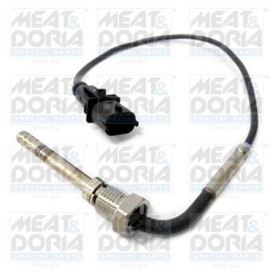 Sensor, exhaust gas temperature 12154