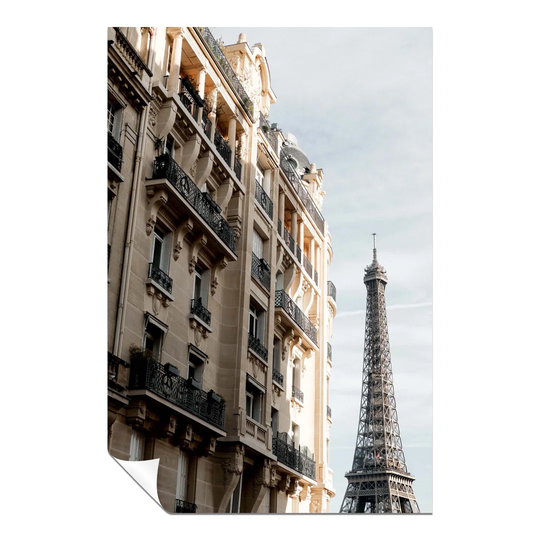 Panther Print Fine Art Prints Architectural Building & The Eiffel Tower Artistic Unframed Poster, Pictures For Home Walls, Bedroom, Living Room & Bath