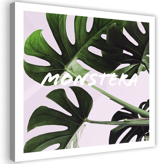 Canvas Print Monstera Exotic Leaves