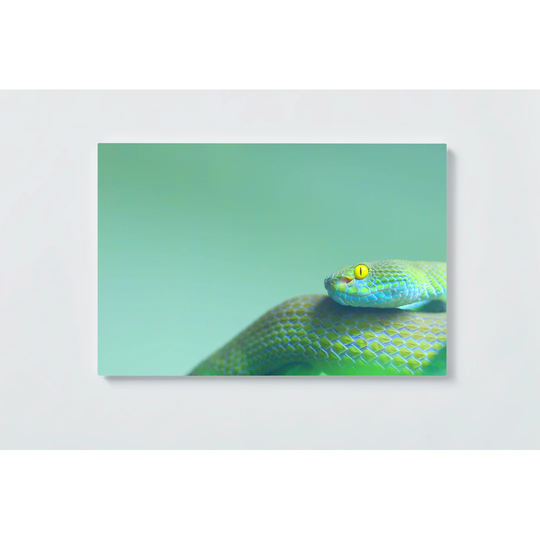 Snake Motif Magnetic Wall Mounted Cork Board