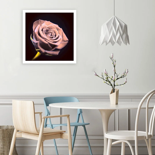 Canvas Print Pink Rose Blossom Nature