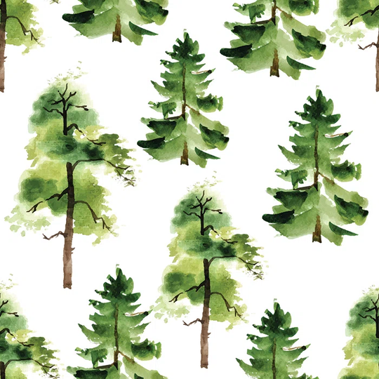 Tilford Forest Trees Magic Forest Wallpaper