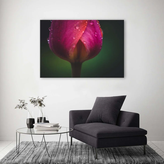 Canvas Print Tulip Flower Pink
