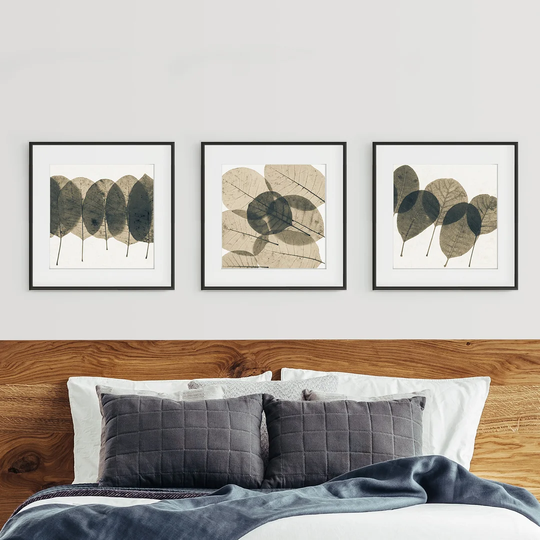 Herbarium Triptych - 3 Piece Picture Frame Graphic Art Print Set on Paper