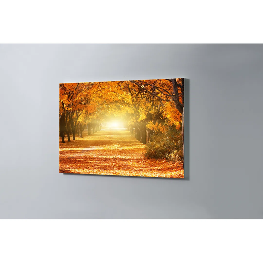 Tree Avenue Magnetic Wall Mounted Cork Board