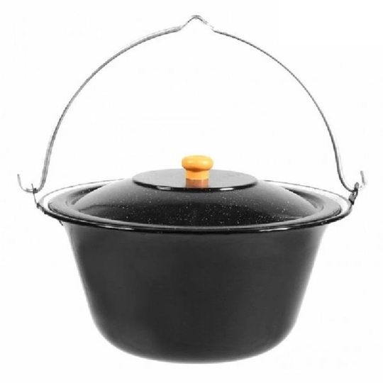 Aleczandria 14 L Stock Pot with Lid
