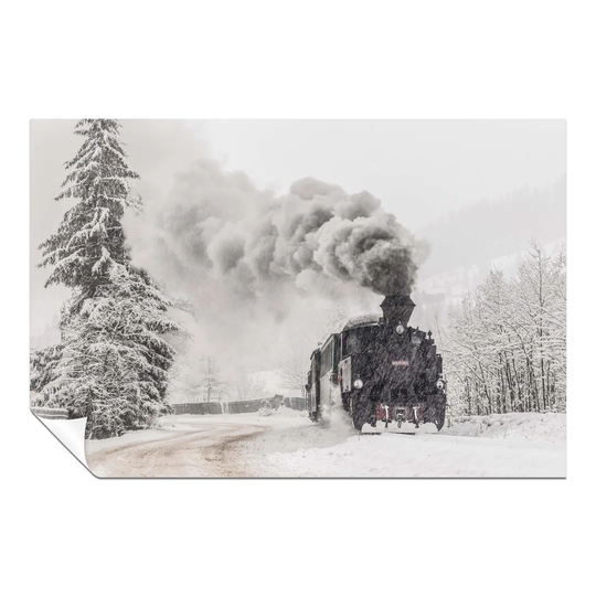 Panther Print Fine Art Prints Approaching Old Vintage Train In Winter Artistic Unframed Poster, Pictures For Home Walls, Bedroom, Living Room & Bathro