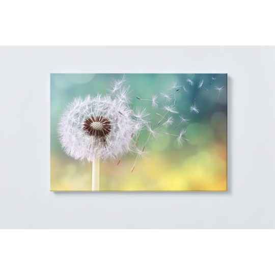 Dandelion Magnetic Wall Mounted Cork Board