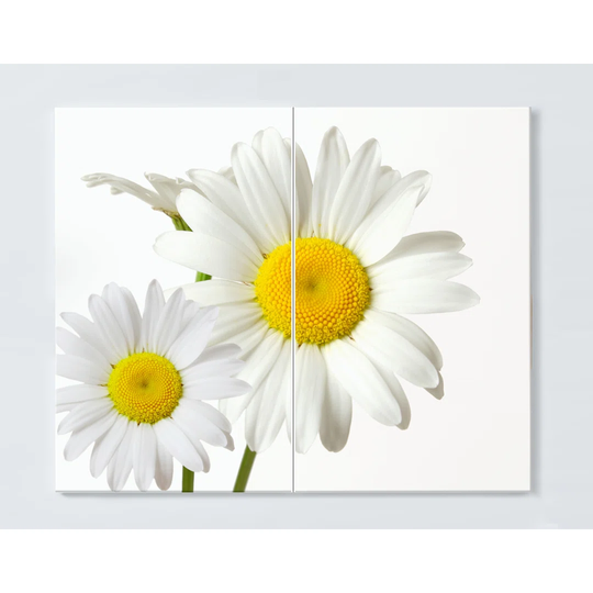 Flower Magnetic Magnetic Wall Mounted Cork Board