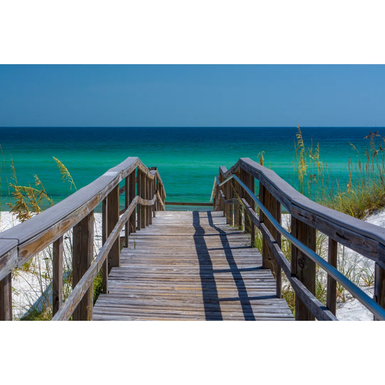 The Pathway