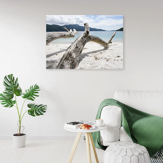 Canvas Print, Beige Landscapes