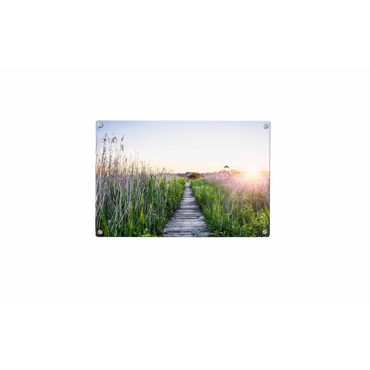 Meadow Bridge Magnetic Wall Mounted Photo Memo Board