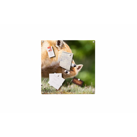 Foxes Magnetic Wall Mounted Photo Memo Board