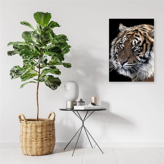Canvas Print Tiger Wildlife
