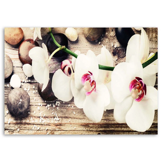 Canvas Print Orchid Zen Stones White