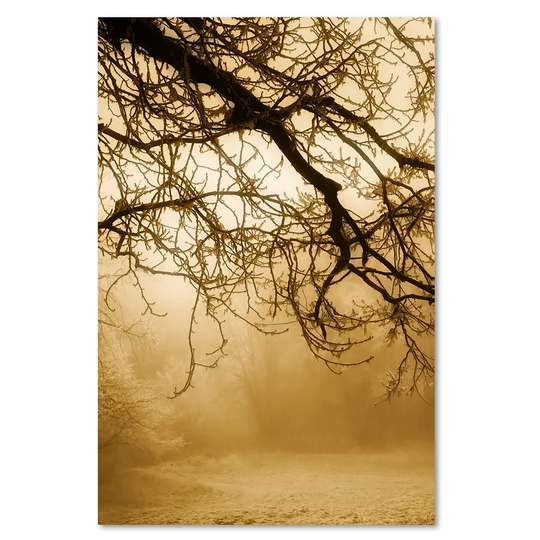 Canvas Print, Beige Landscapes 16376
