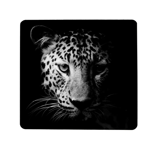 Leopard Magnetic Wall Mounted Magnetic Board