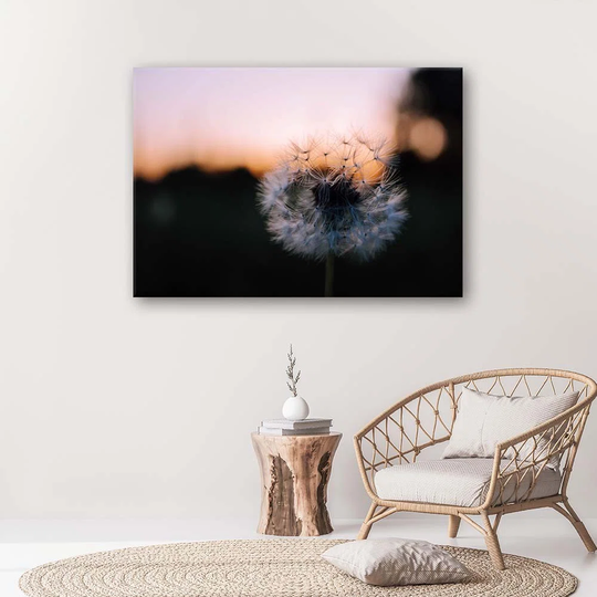 Canvas Print Dandelions Sunset