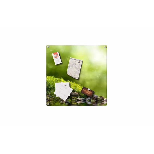 Moss Magnetic Wall Mounted Photo Memo Board