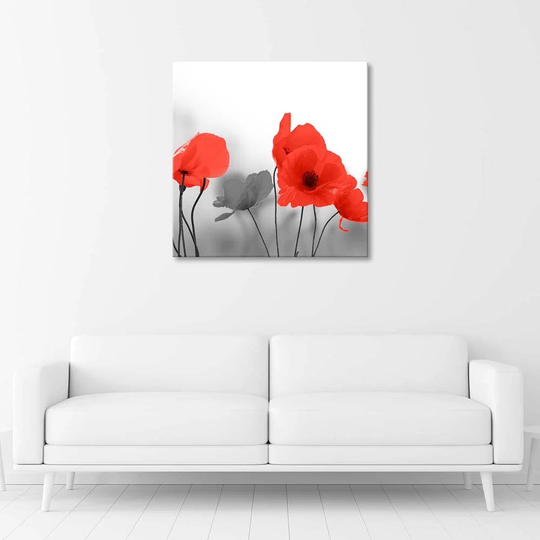 Canvas Print Red Summer Poppies Nature Grey